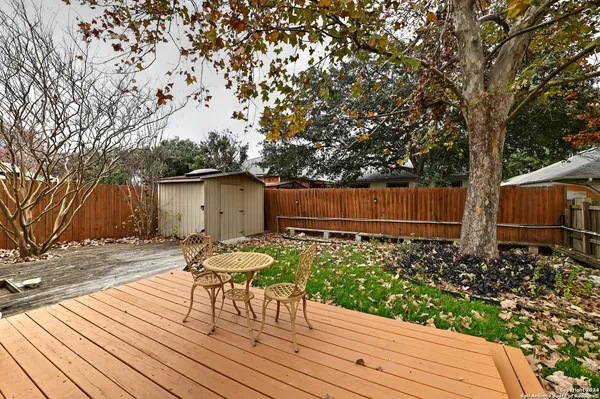 a view of a backyard and a tree