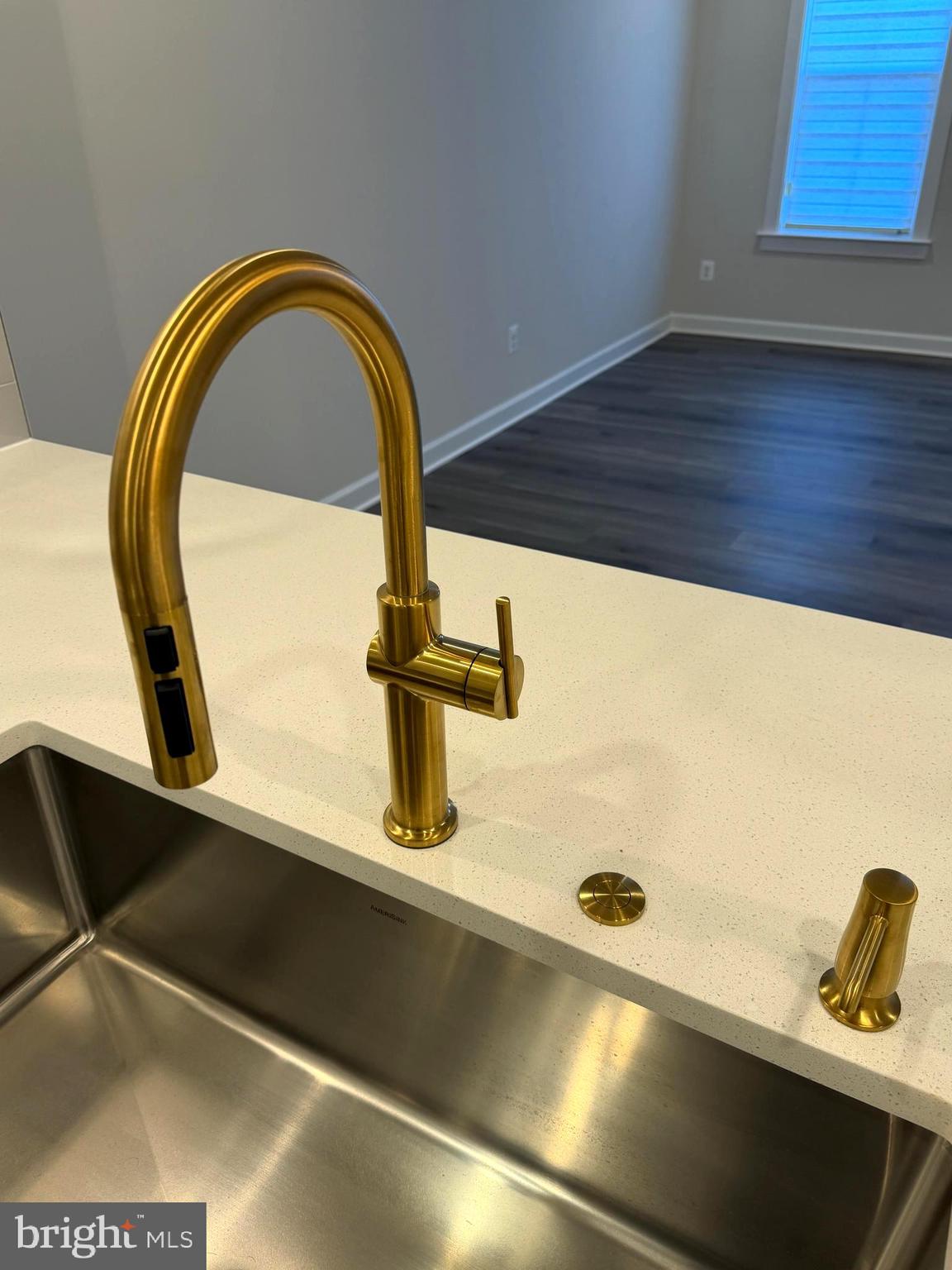 21789 Express Terrace Ashburn, VA 20147 - Photo 4 of 36 a close view of sink