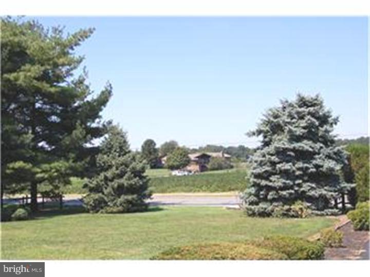 1450 Pole Bridge Road Middletown, DE 19709 - Photo 3 of 21 View from Front Door