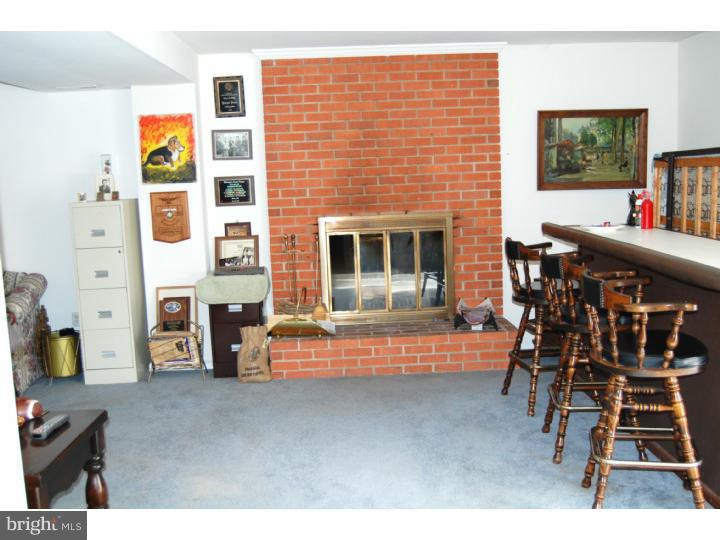 1450 Pole Bridge Road Middletown, DE 19709 - Photo 21 of 21 Fireplace