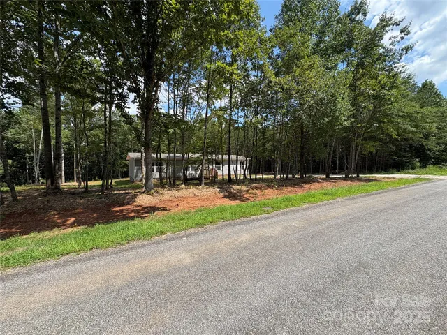 a view of a park with large trees