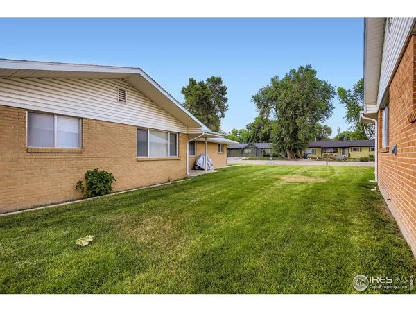 a backyard of a house with plants and large tree