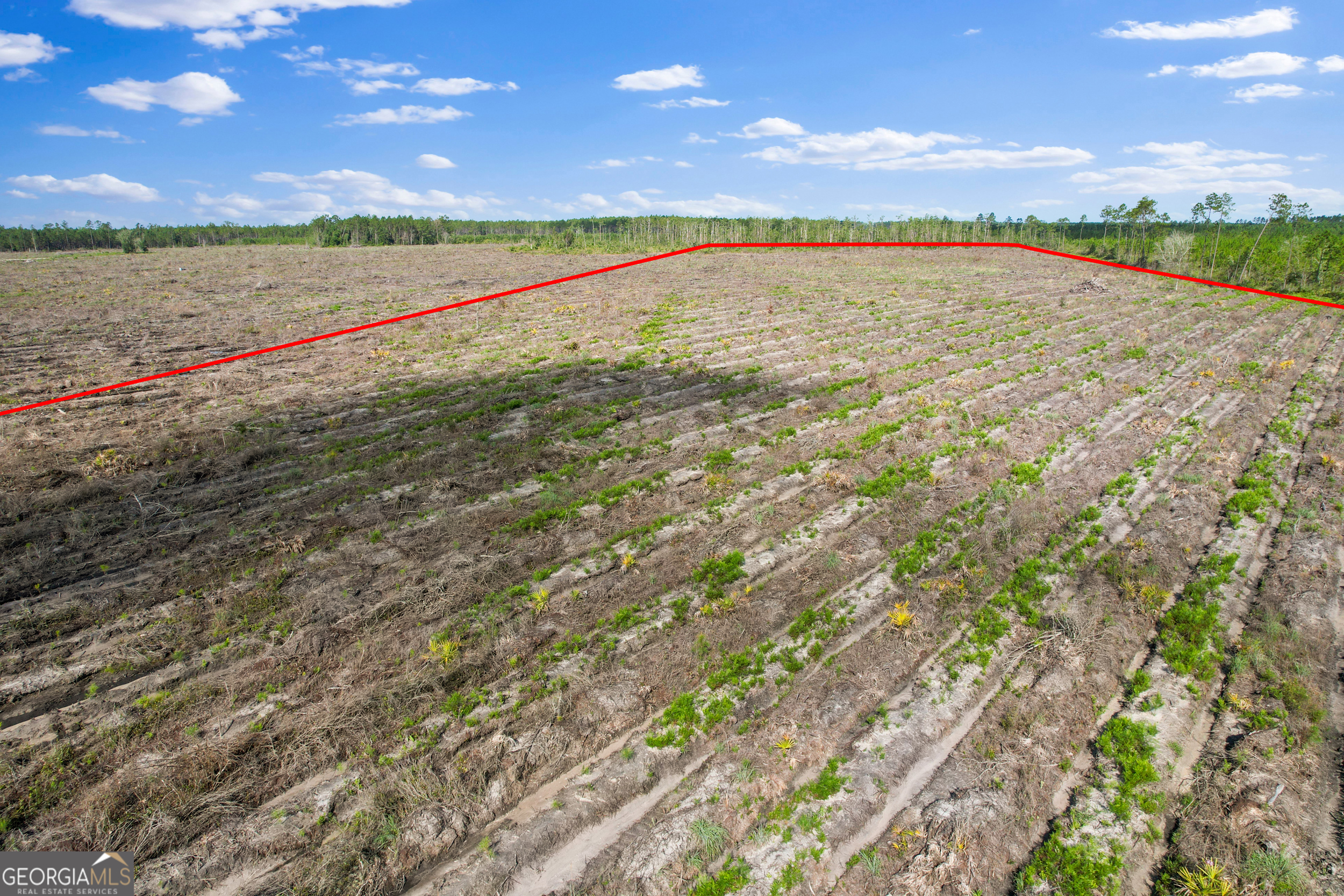 3 Morris Break Road Odum, GA 31555 - Photo 2 of 4