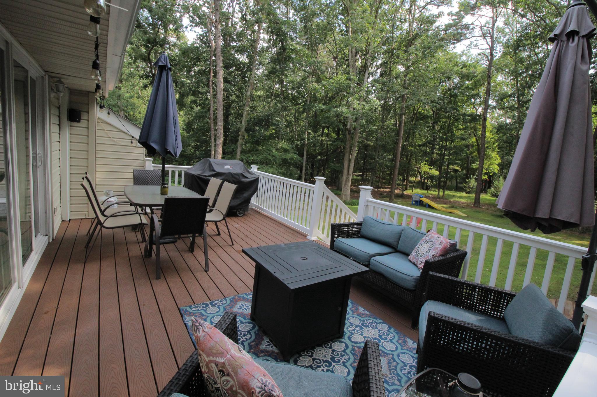 407 Indian Mills Road Shamong, NJ 08088 - Photo 3 of 39