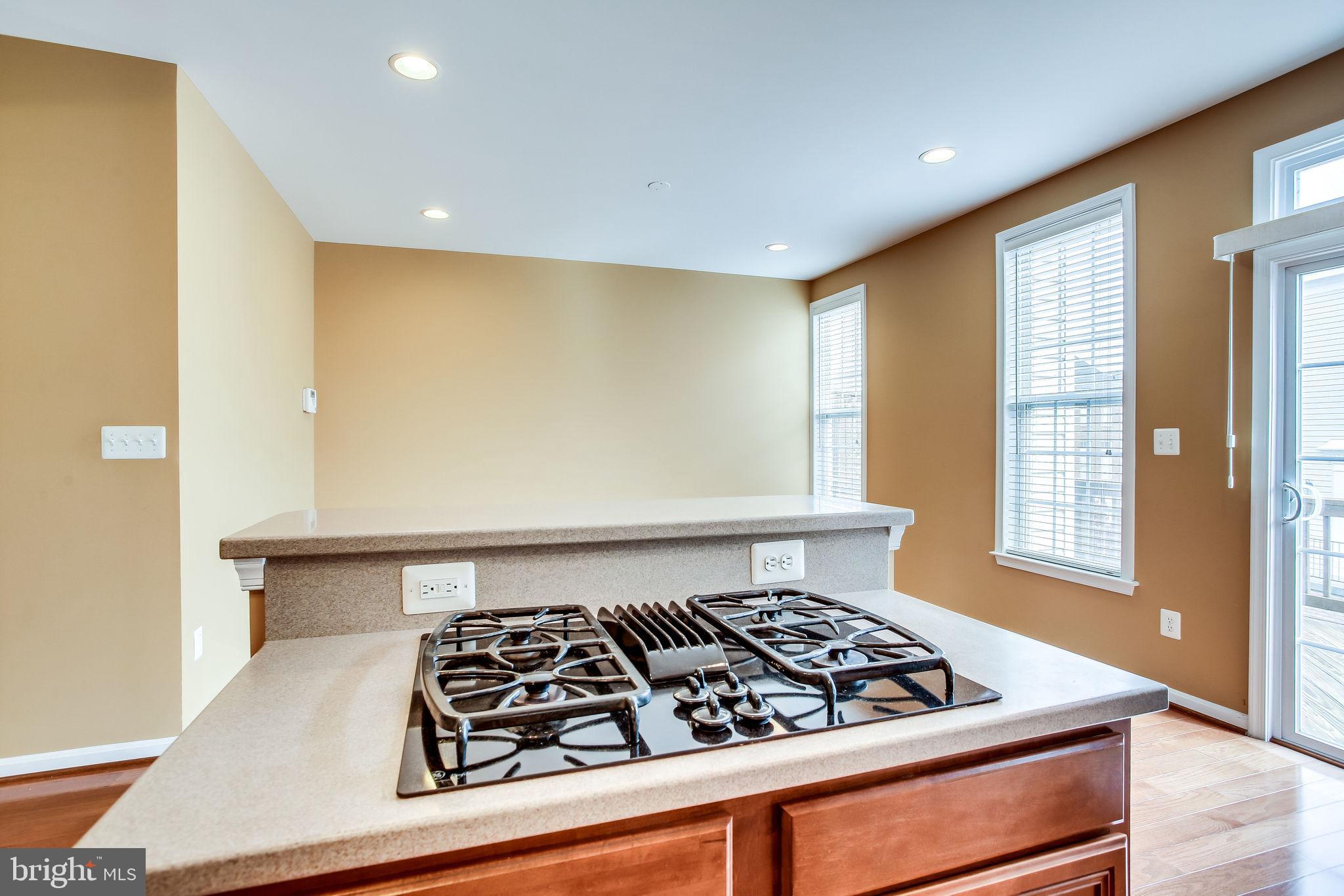 22050 Dilworth Square Broadlands, VA 20148 - Photo 25 of 92 Gas Cooking