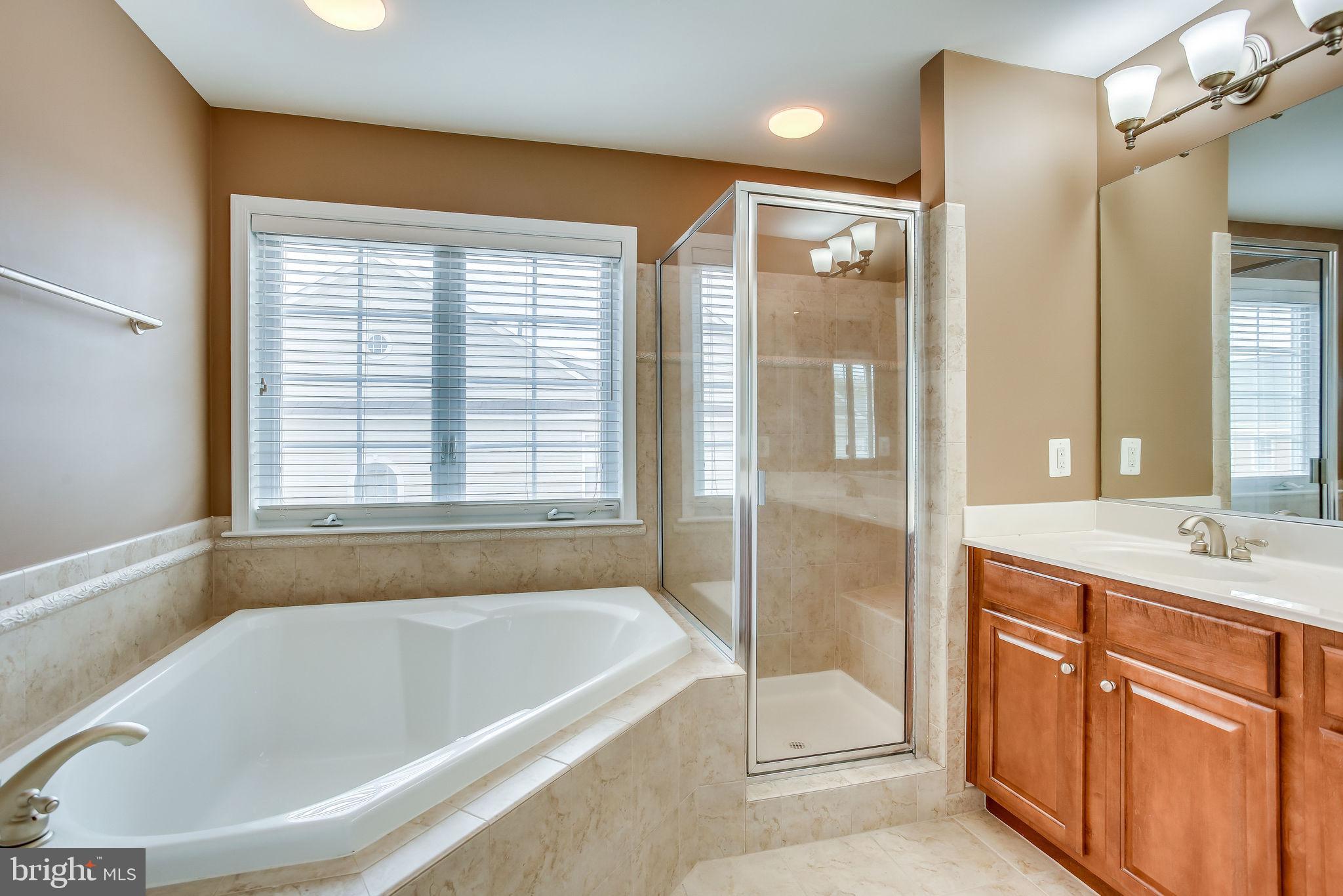 22050 Dilworth Square Broadlands, VA 20148 - Photo 54 of 92 Large Bathroom