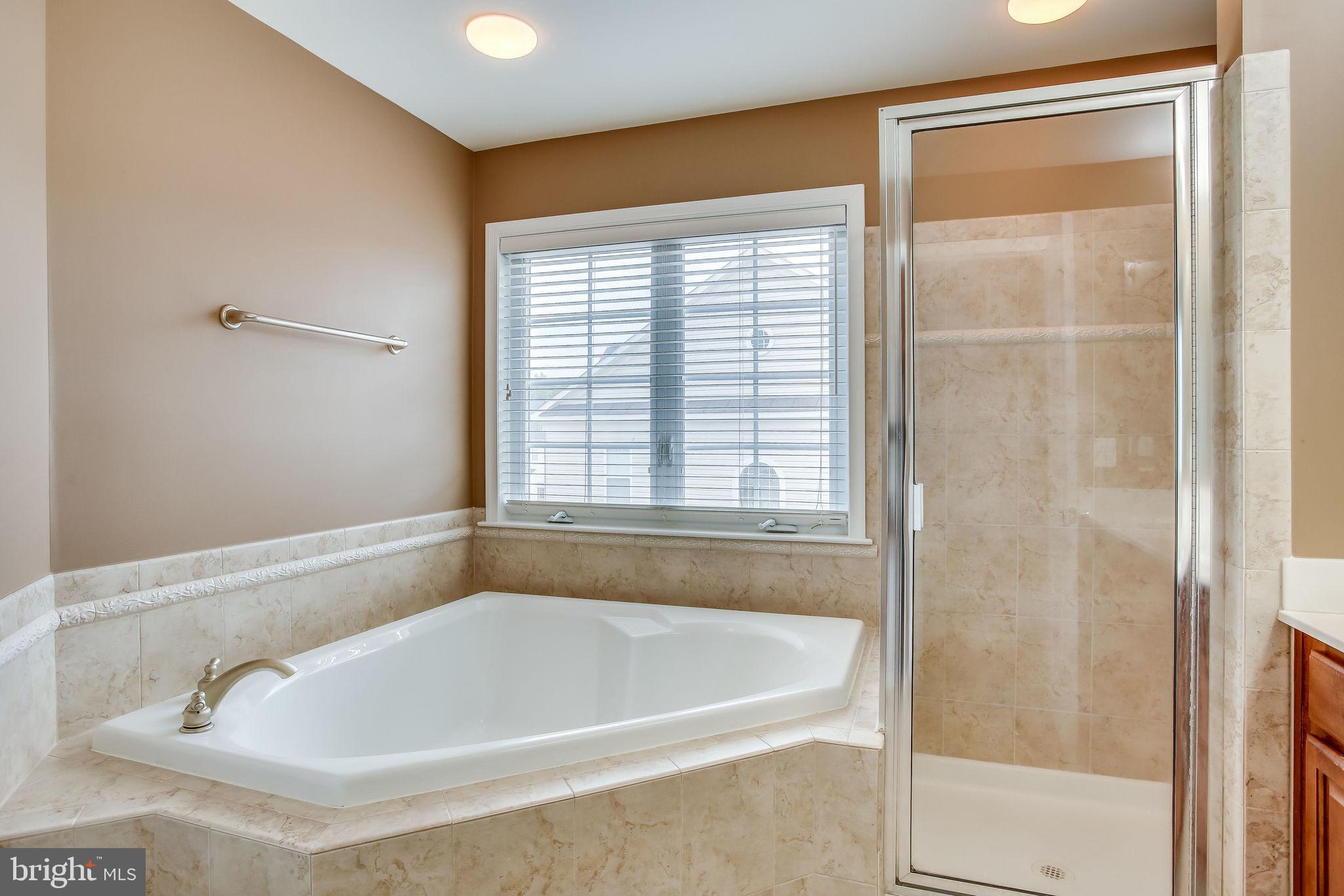 22050 Dilworth Square Broadlands, VA 20148 - Photo 55 of 92 Tub and Shower