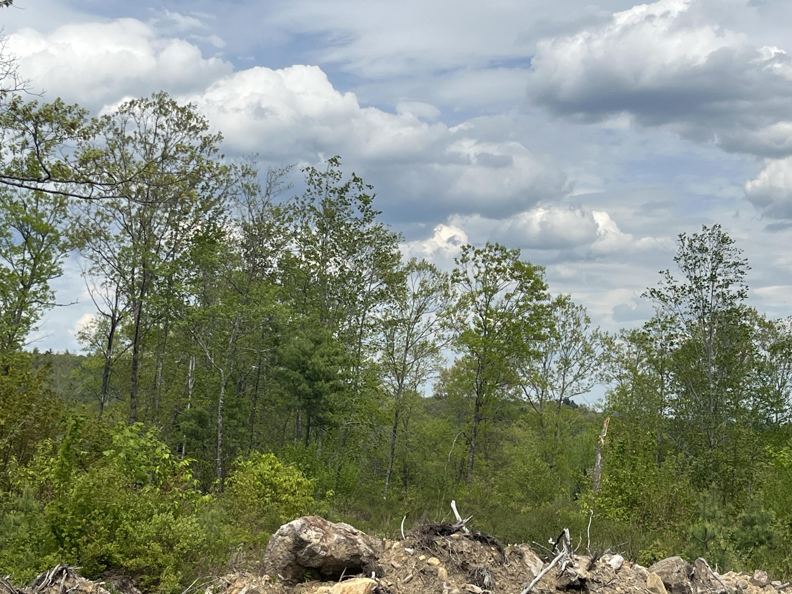 Lot A8 West Road Waterboro, ME 04087 - Photo 1 of 5 IMG_0924