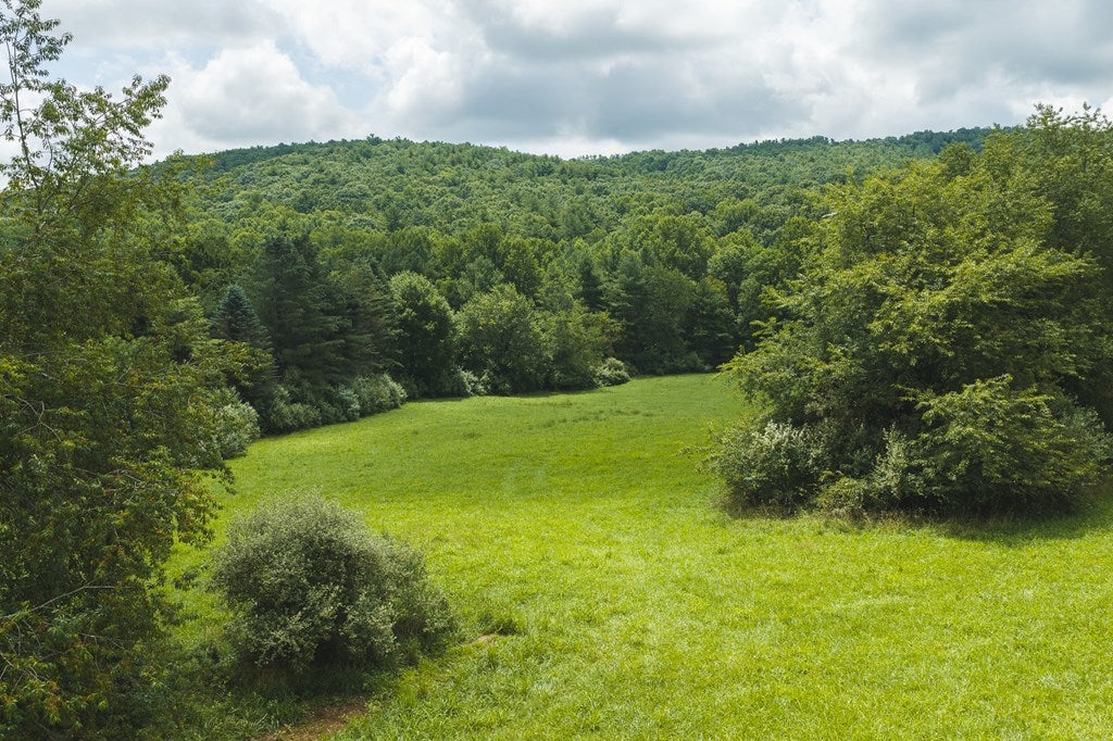 Lot 2 Ridgeview Rd Road Floyd, VA 24091 - Photo 10 of 32 Gallery Image 10