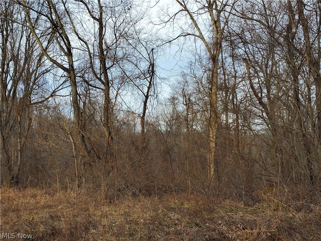 55010 Iowa Road Cumberland, OH 43732 - Photo 8 of 16