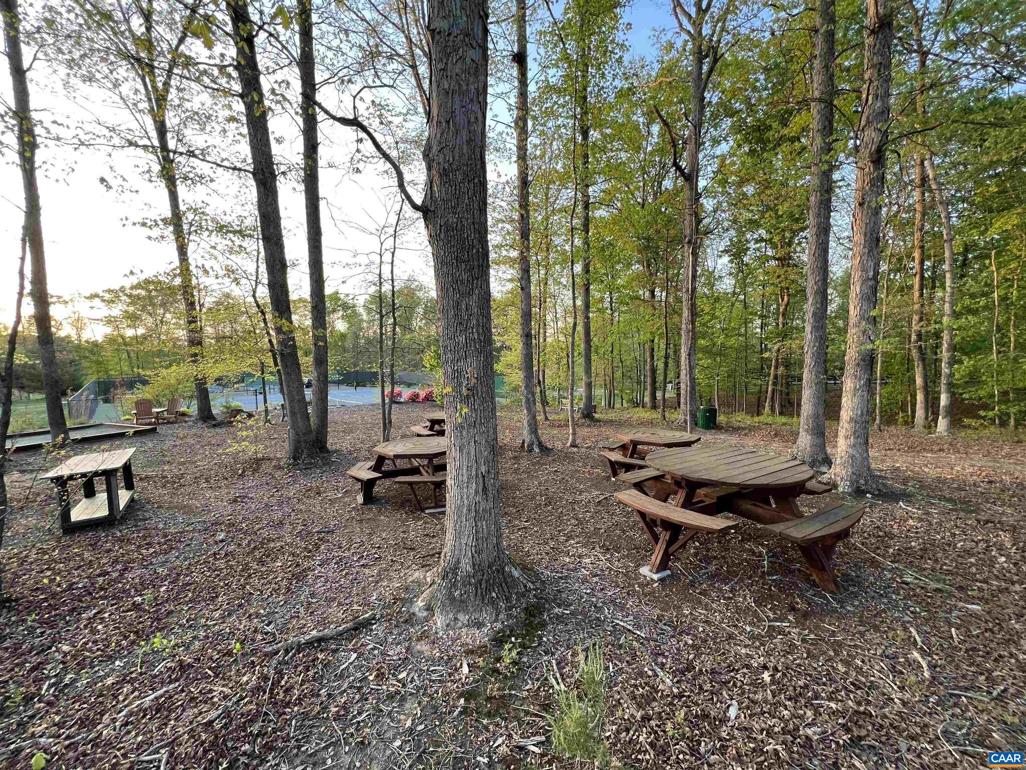 80 Timber Ridge Lane Zion Crossroads, VA 22942 - Photo 45 of 47 Gallery Image 45