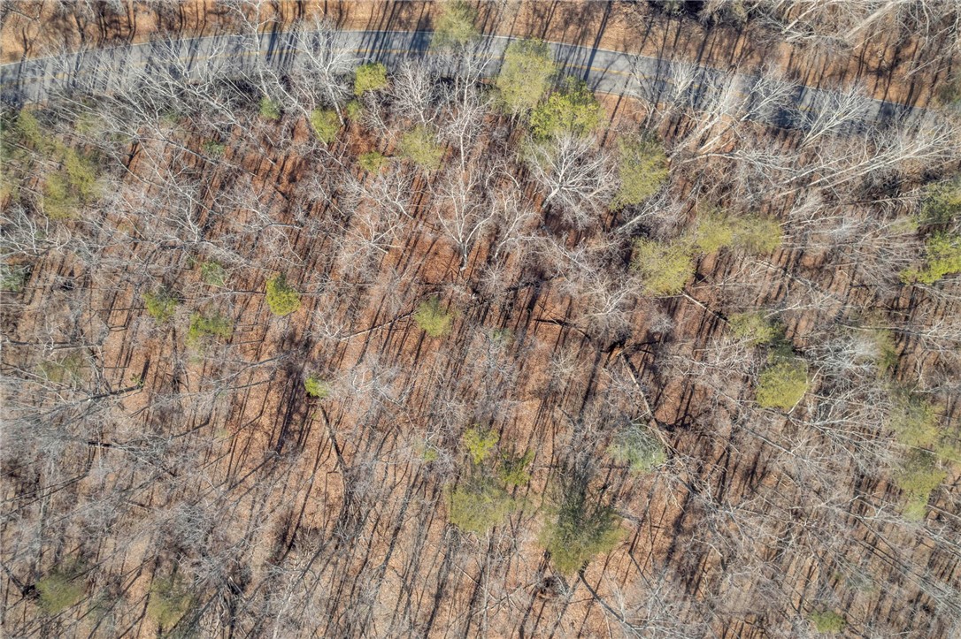 0 Old Fox Squirrel Ridge Road Pickens, SC 29671 - Photo 13 of 19 Gallery Image 13