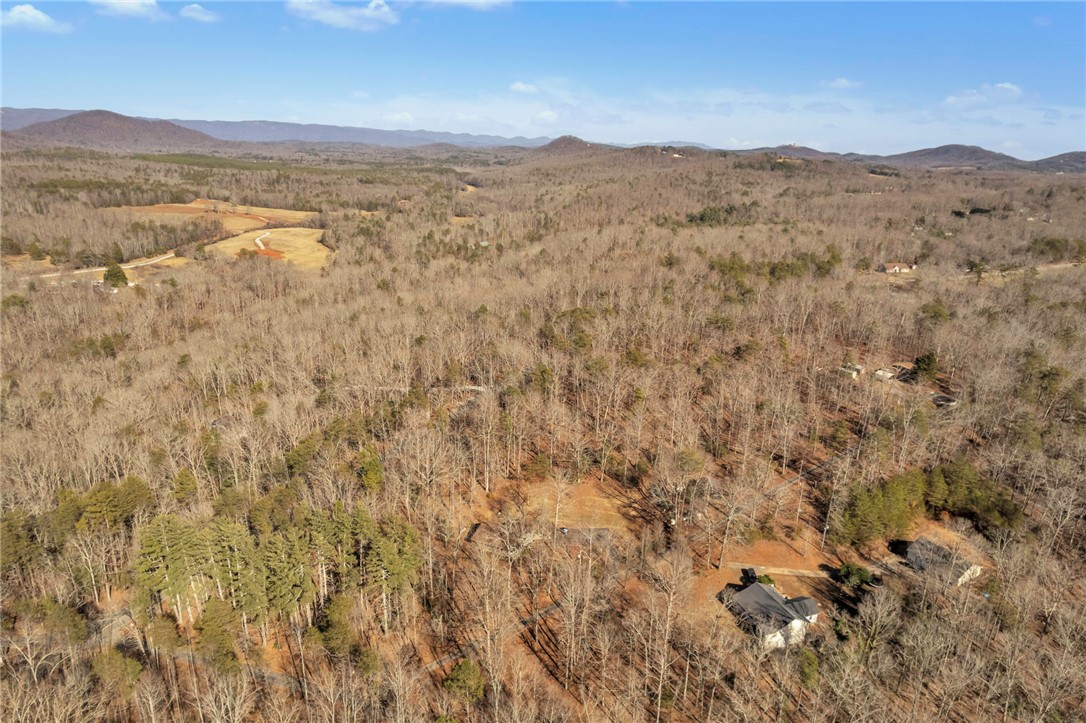 0 Old Fox Squirrel Ridge Road Pickens, SC 29671 - Photo 16 of 19 Gallery Image 16