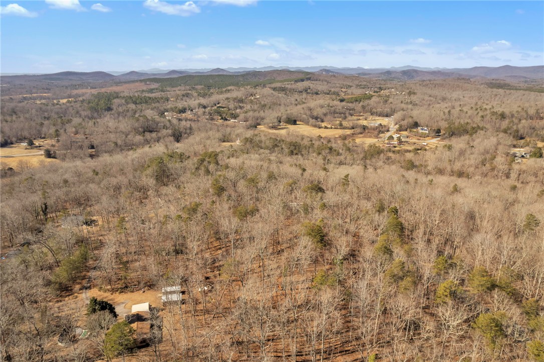 0 Old Fox Squirrel Ridge Road Pickens, SC 29671 - Photo 17 of 19 Gallery Image 17