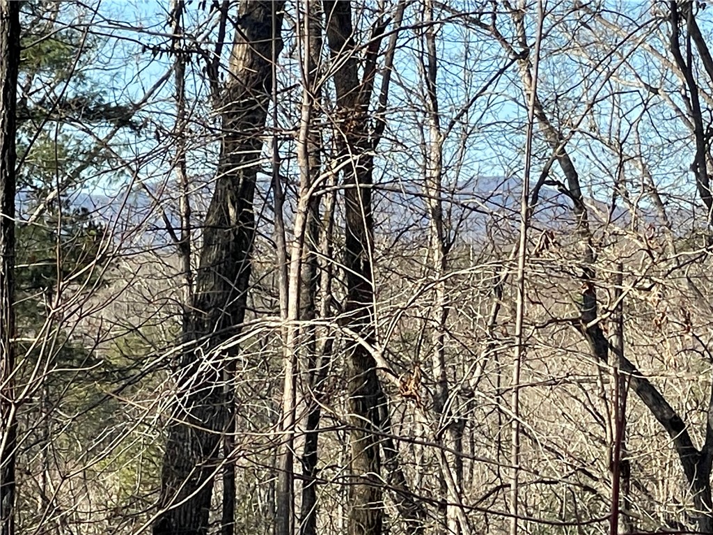 0 Old Fox Squirrel Ridge Road Pickens, SC 29671 - Photo 2 of 19 Gallery Image 2