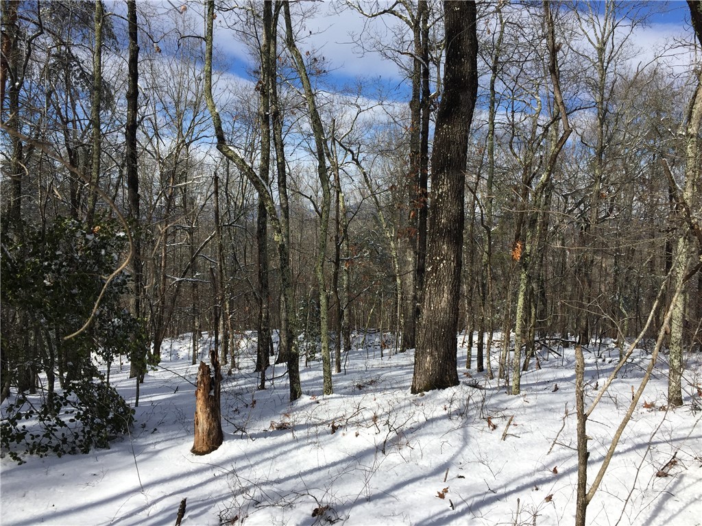 0 Old Fox Squirrel Ridge Road Pickens, SC 29671 - Photo 6 of 19 Gallery Image 6