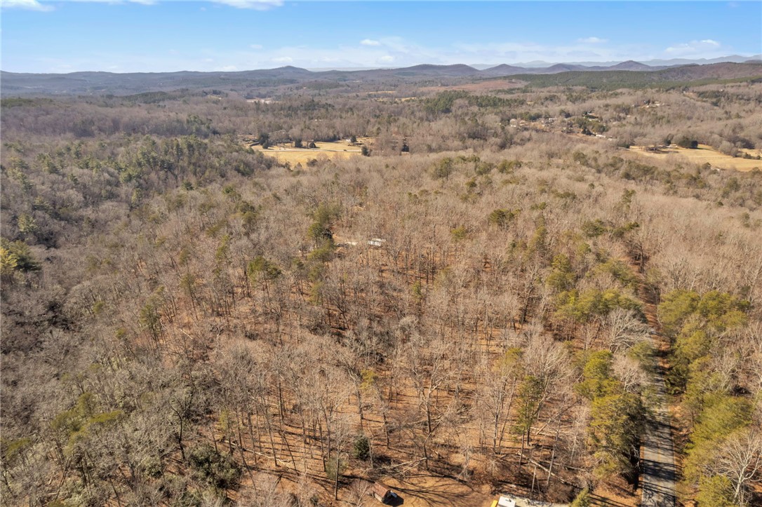 0 Old Fox Squirrel Ridge Road Pickens, SC 29671 - Photo 8 of 19 Gallery Image 8
