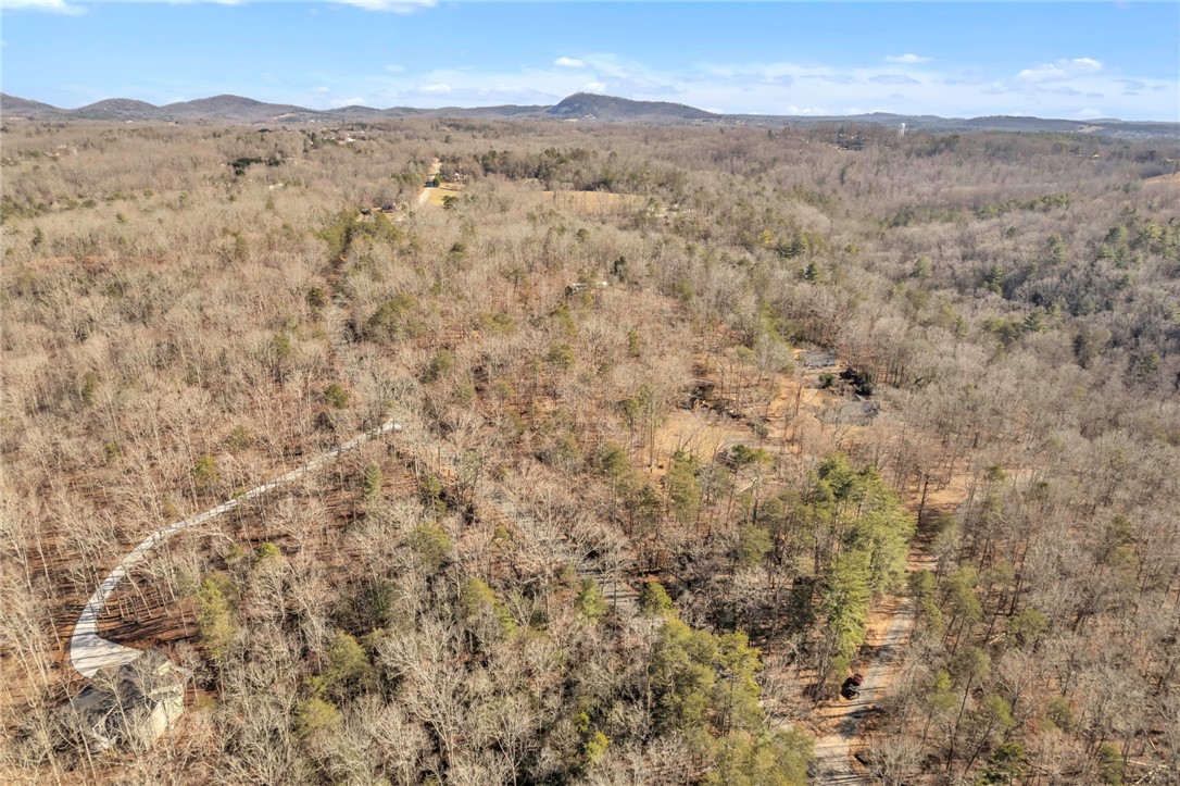 0 Old Fox Squirrel Ridge Road Pickens, SC 29671 - Photo 9 of 19 Gallery Image 9