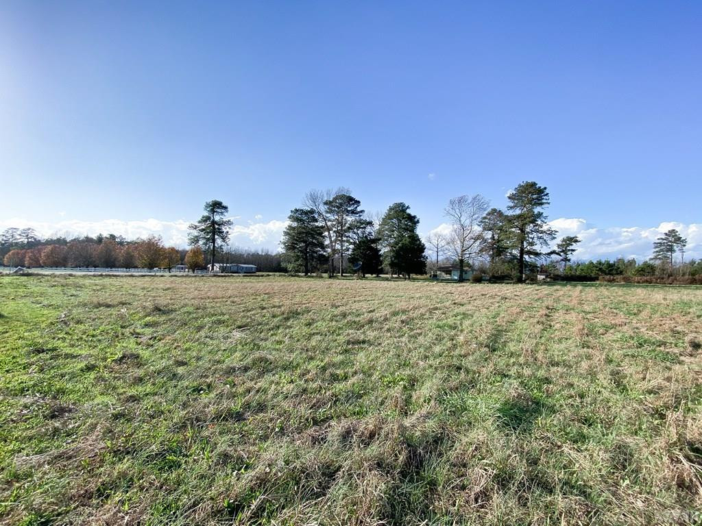 1018 Governors Road Windsor, NC 27983 - Photo 50 of 72 Gallery Image 50