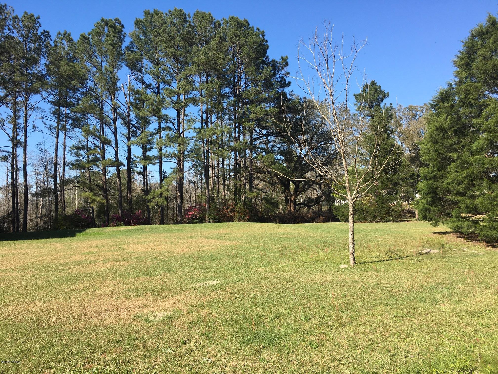 727 Wrights Creek Road Caryville, FL 32427 - Photo 35 of 47