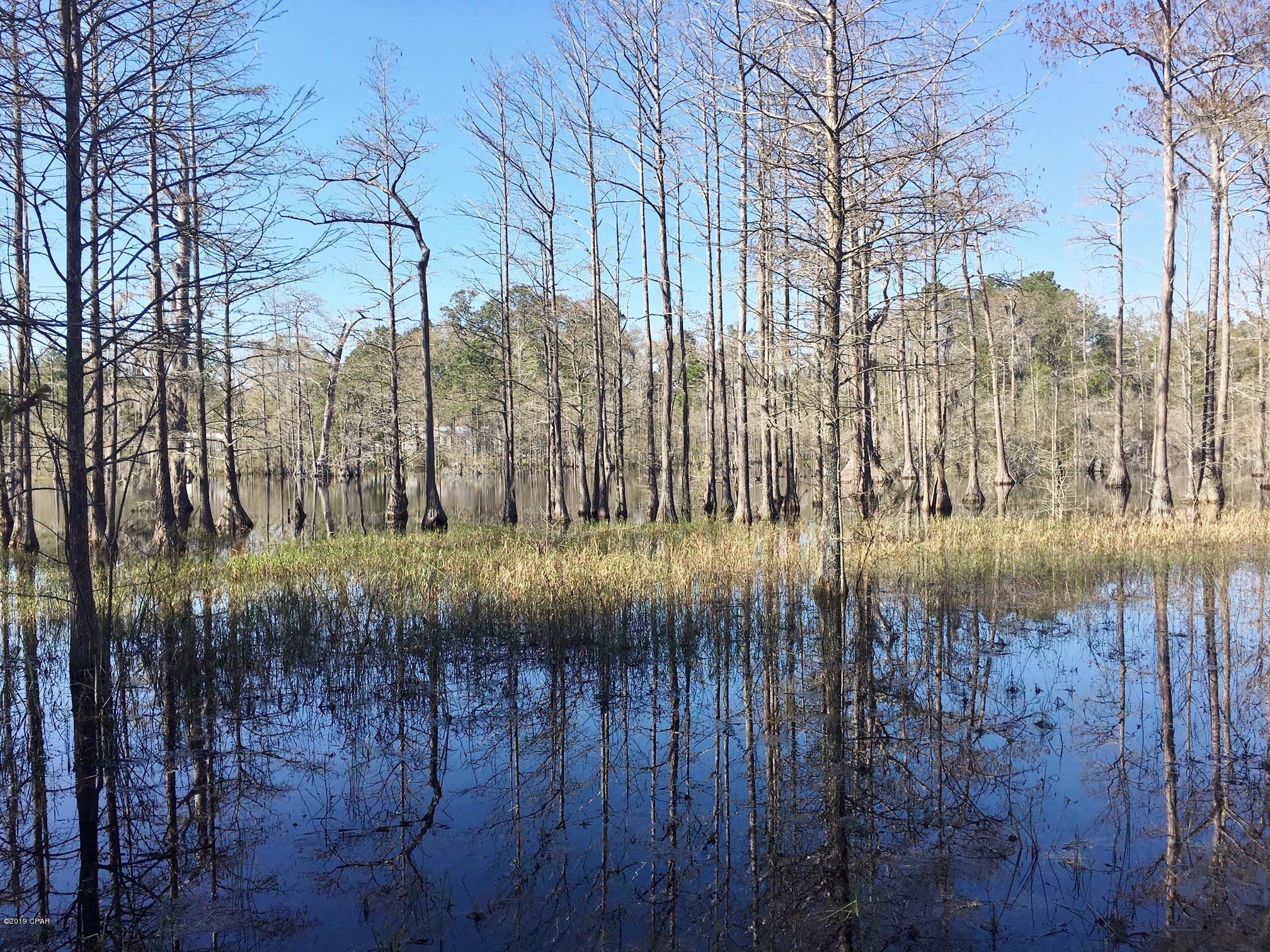 727 Wrights Creek Road Caryville, FL 32427 - Photo 41 of 47