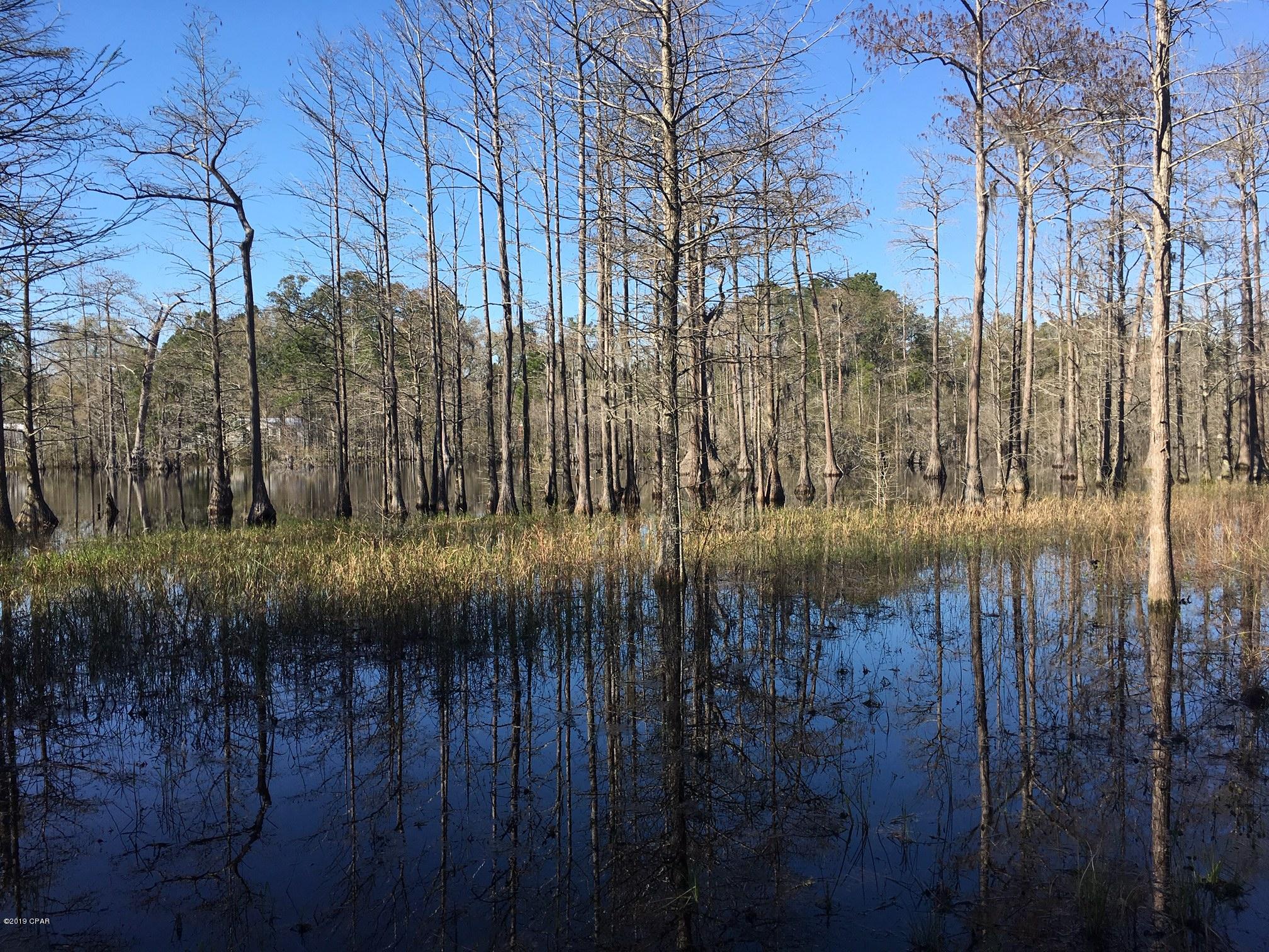 727 Wrights Creek Road Caryville, FL 32427 - Photo 42 of 47