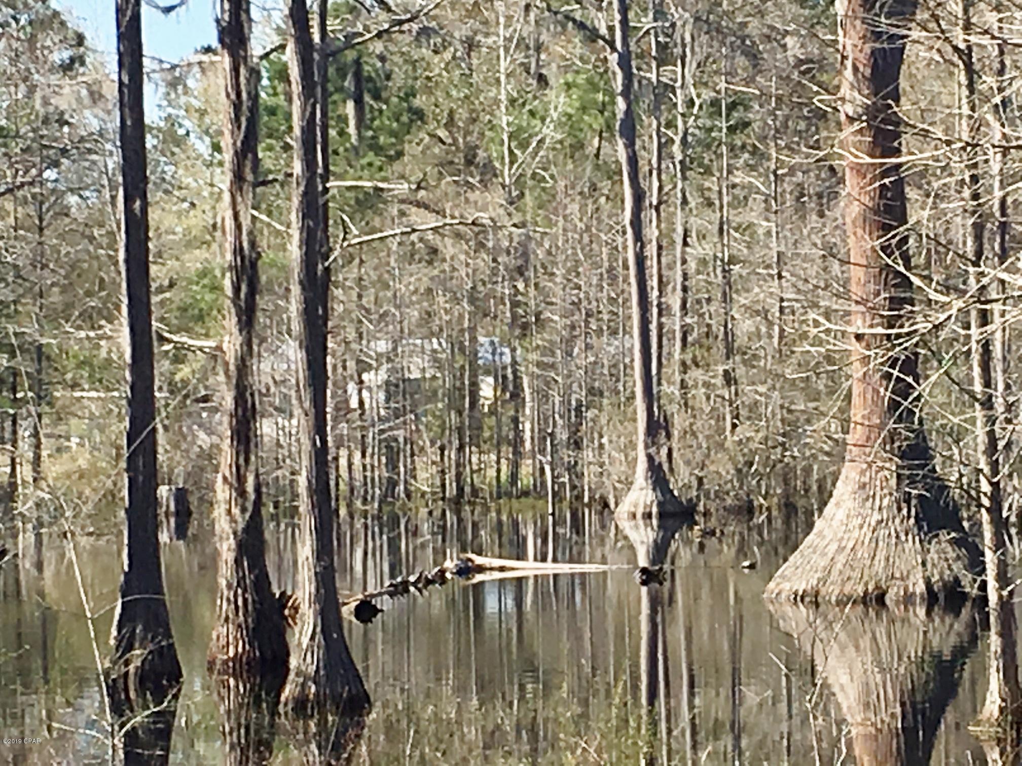 727 Wrights Creek Road Caryville, FL 32427 - Photo 43 of 47