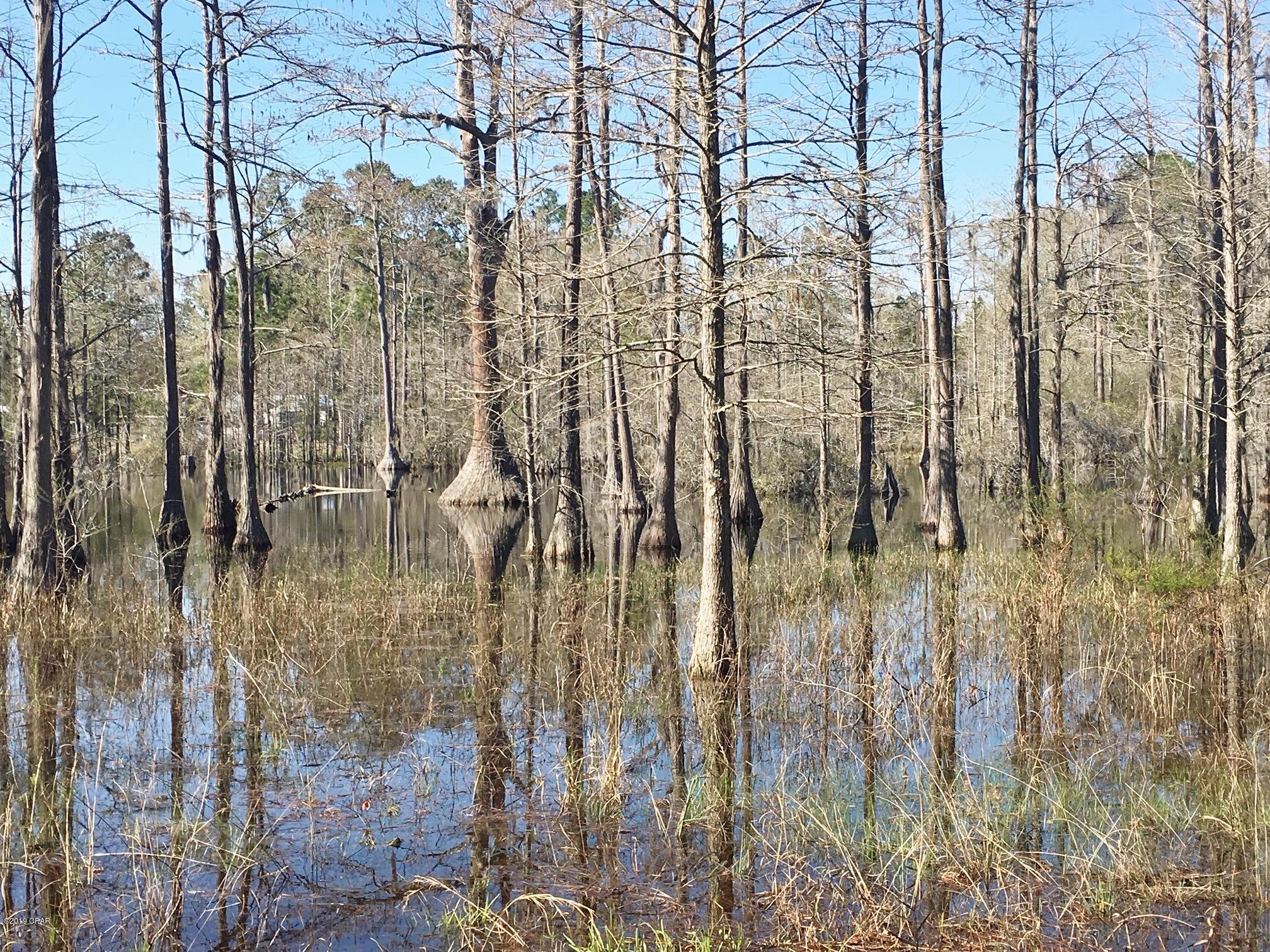 727 Wrights Creek Road Caryville, FL 32427 - Photo 44 of 47