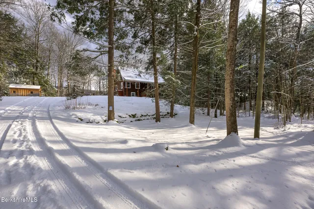 a view of street with large trees