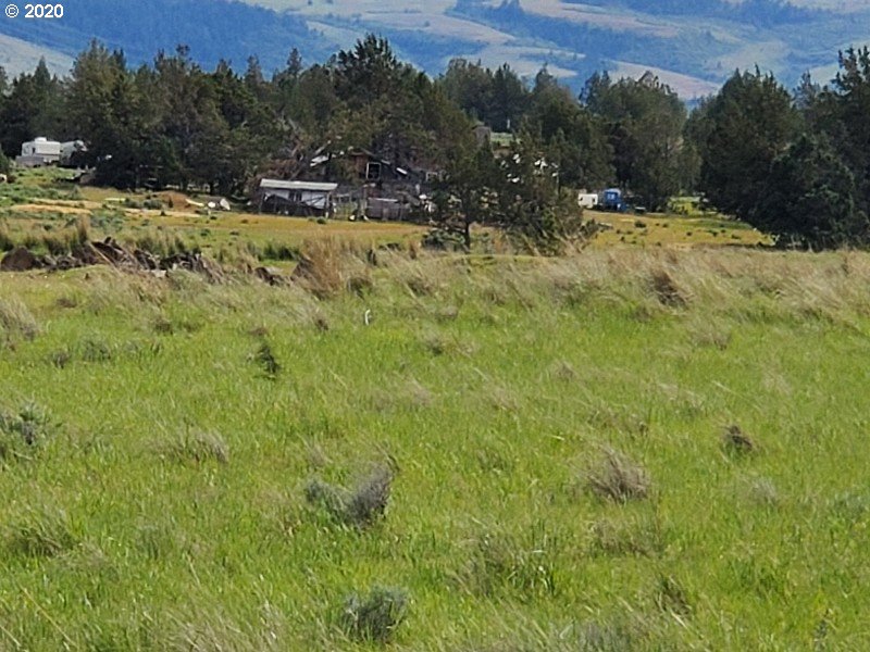 78093 Victor Road Tygh Valley, OR 97063 - Photo 17 of 32 Gallery Image 17