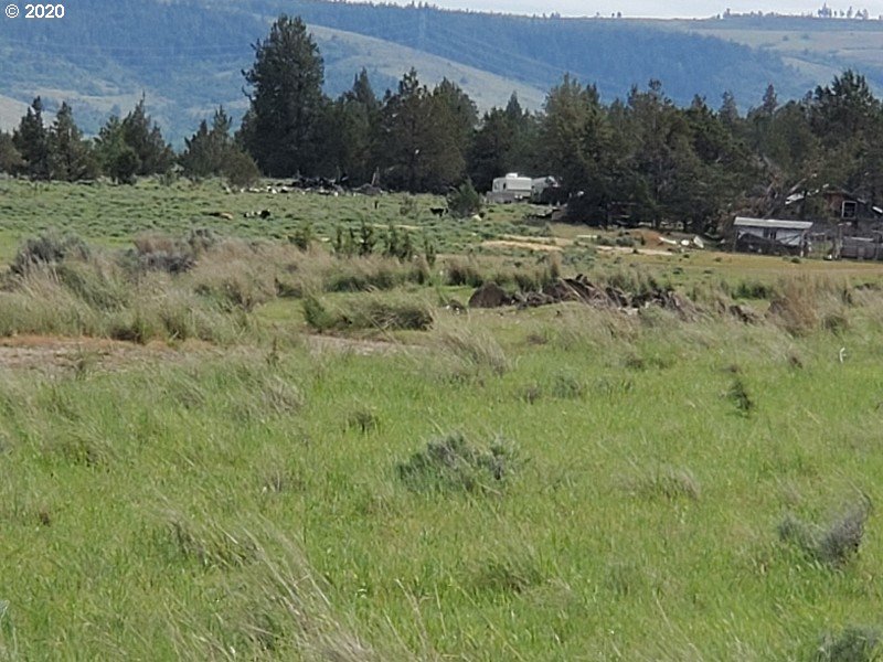 78093 Victor Road Tygh Valley, OR 97063 - Photo 18 of 32 Gallery Image 18