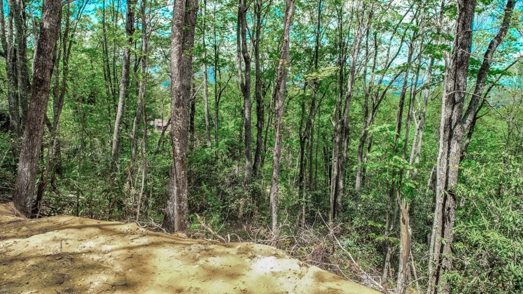 2 Rocky Ridge Road Cosby, TN 37722 - Photo 18 of 28 Gallery Image 18