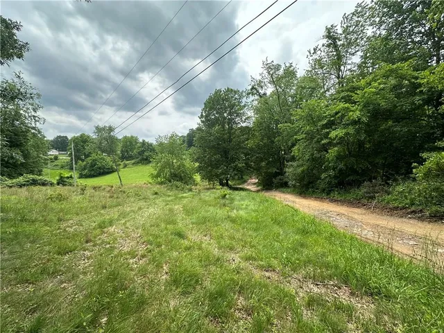 a view of a lush green space