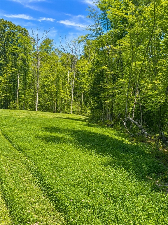 Lot 2 Spring Street Franklin, MA 02038 - Photo 10 of 13