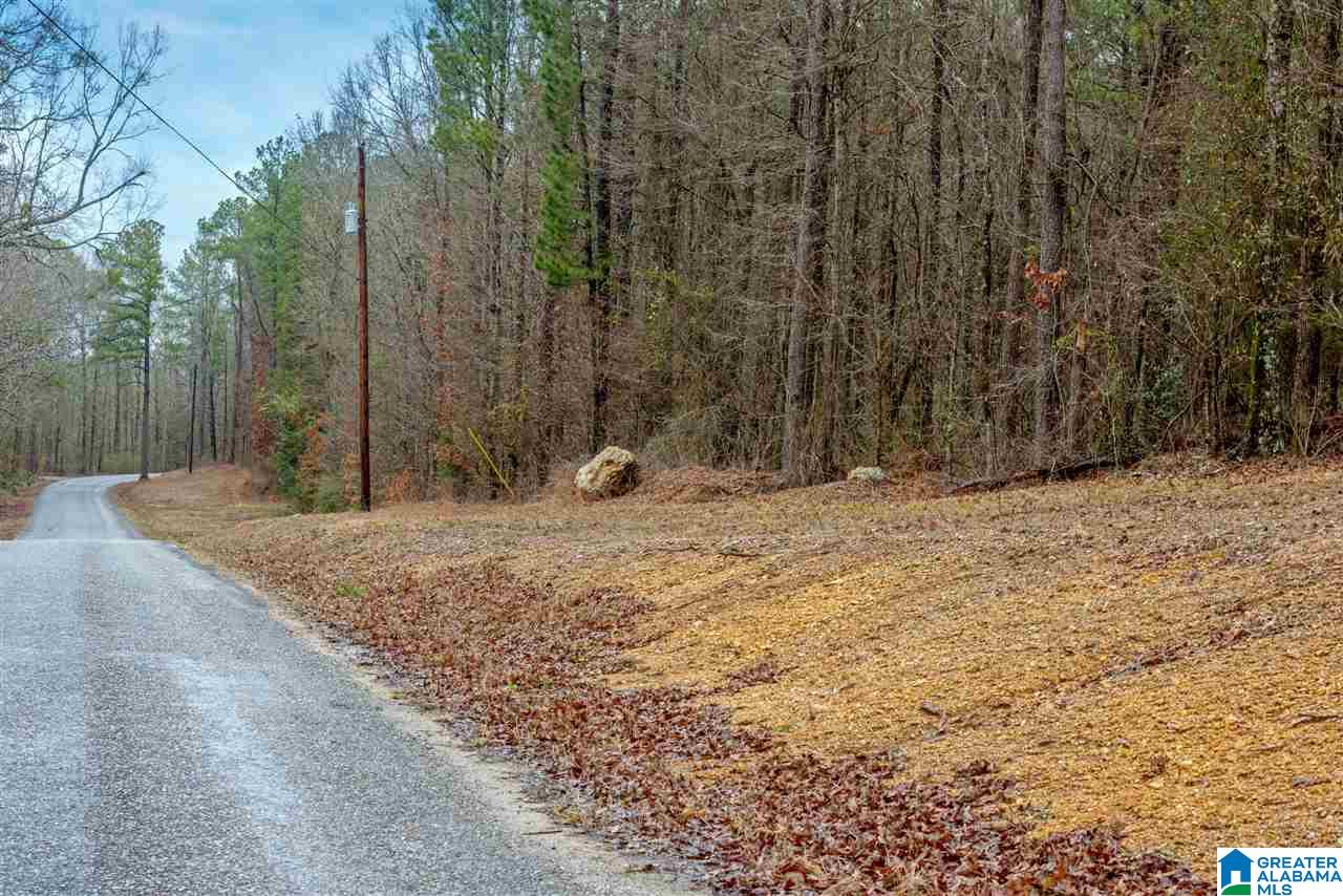 0 Clay Pit Road, Unit 7 AACRES ON CLAY PIT ROAD Montevallo, AL 35115 - Photo 6 of 7