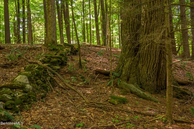 $1,550,000 | 91 North Undermountain Road, Egremont, MA 01230