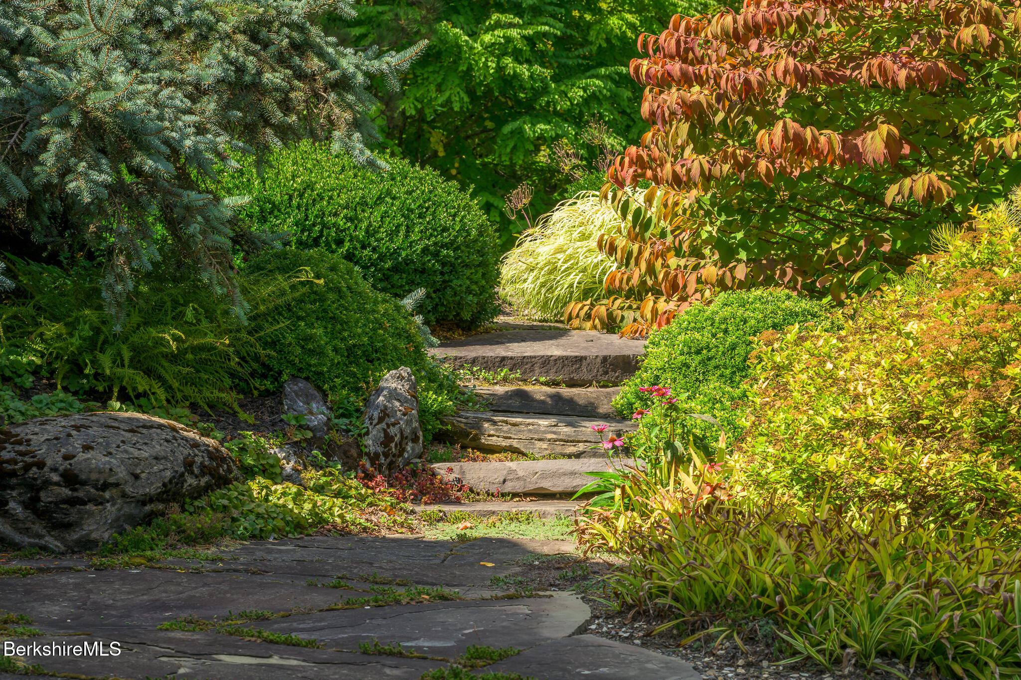 91 North Undermountain Road Egremont, MA 01230 - Photo 64 of 64 a backyard of a house with lots of green space