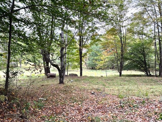 176 Long Falls Dam Road New Portland, ME 04961 - Photo 10 of 40 Land view