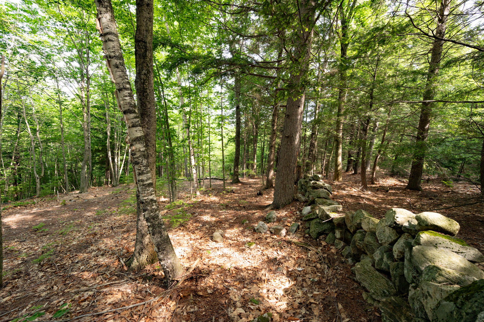 237-001 Hopper Road Acton, ME 04001 - Photo 12 of 19 DSC_2378