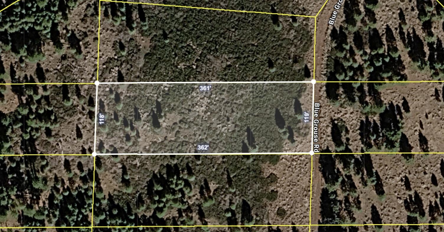 41-521-031 Blue Grouse Road Likely, CA 96101 - Photo 3 of 4