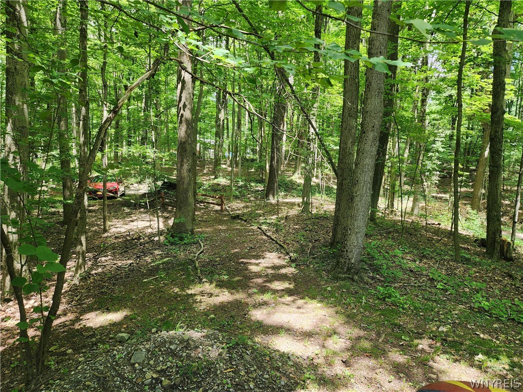 16 Hemlock Road Sheldon, NY 14167 - Photo 20 of 33
