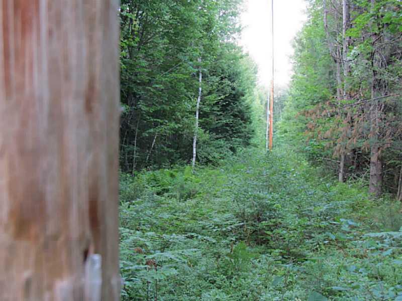 0 Pine Rock Road Naples, ME 04055 - Photo 6 of 8 Other.