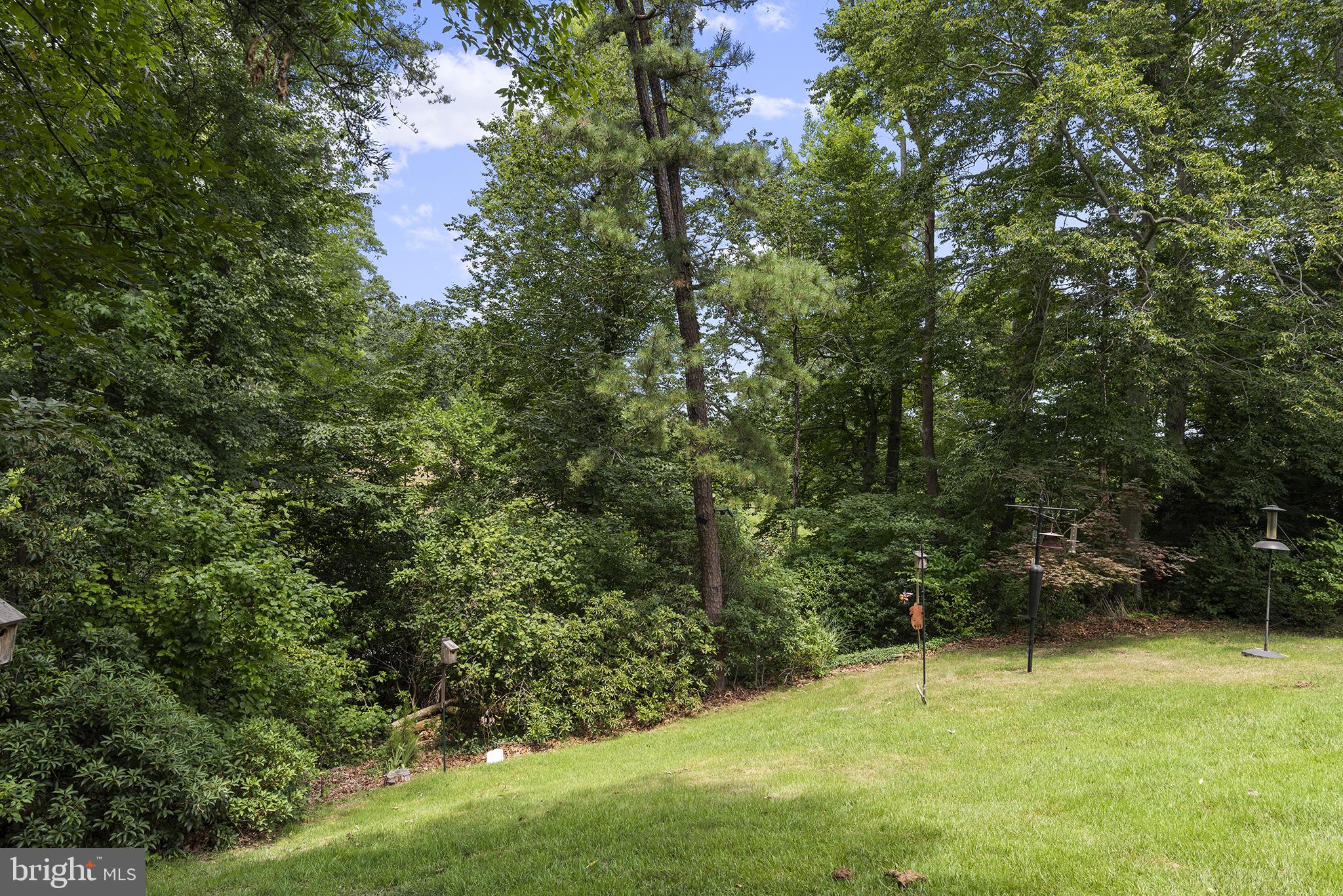 135 Ridge Run Road North East, MD 21901 - Photo 23 of 26 Backs to common wooded area