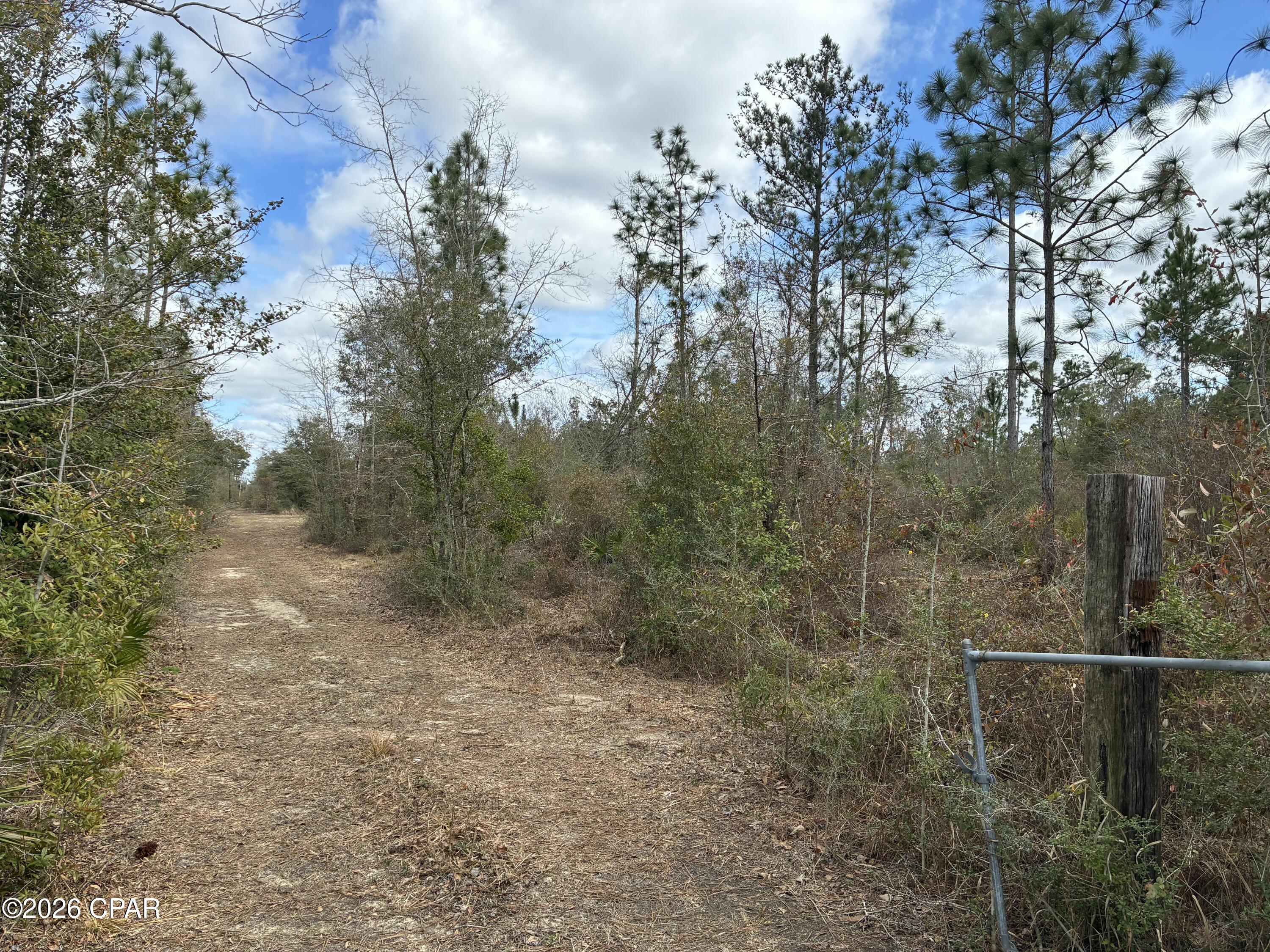 11922 Tammy Pitts Road Fountain, FL 32438 - Photo 3 of 4