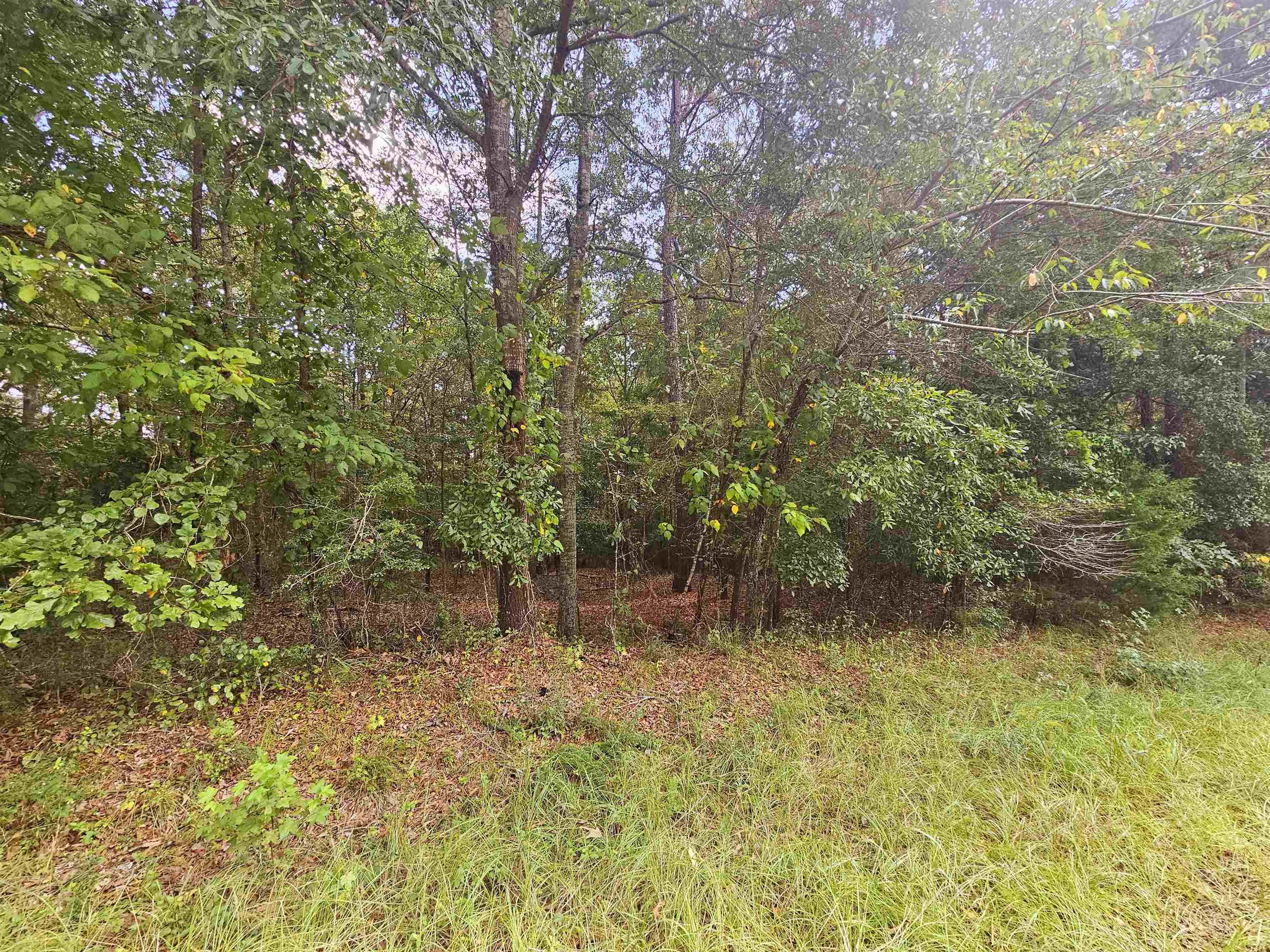 104 Harris Street Griffin, GA 30223 - Photo 1 of 1