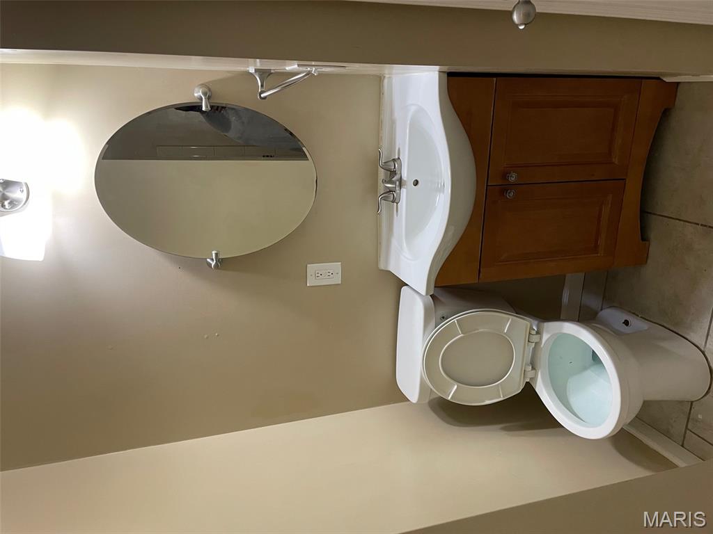 3425 Alberta Street St. Louis, MO 63118 - Photo 8 of 13