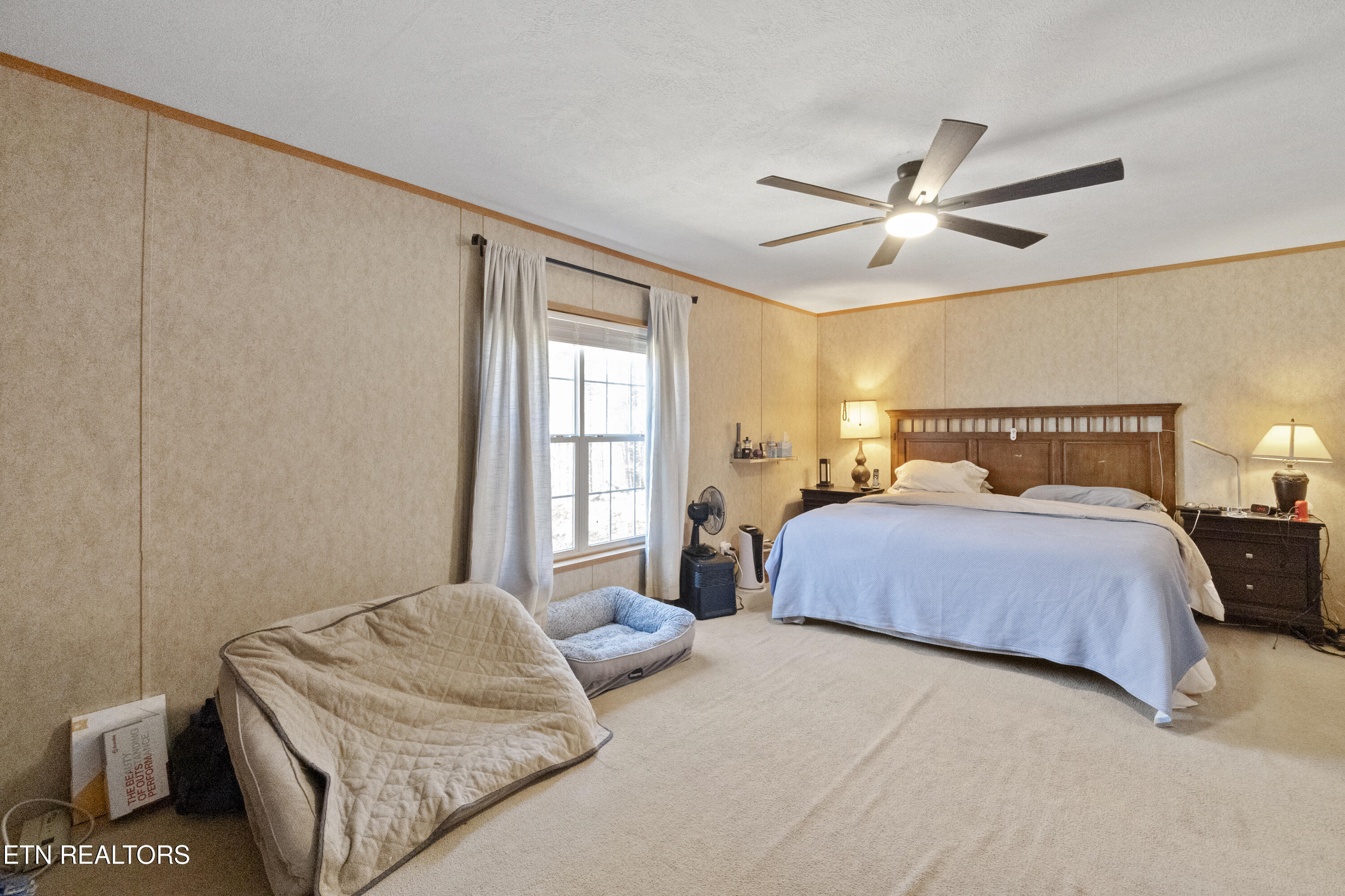 474 Punkton Road Del Rio, TN 37727 - Photo 18 of 58 DSC00422