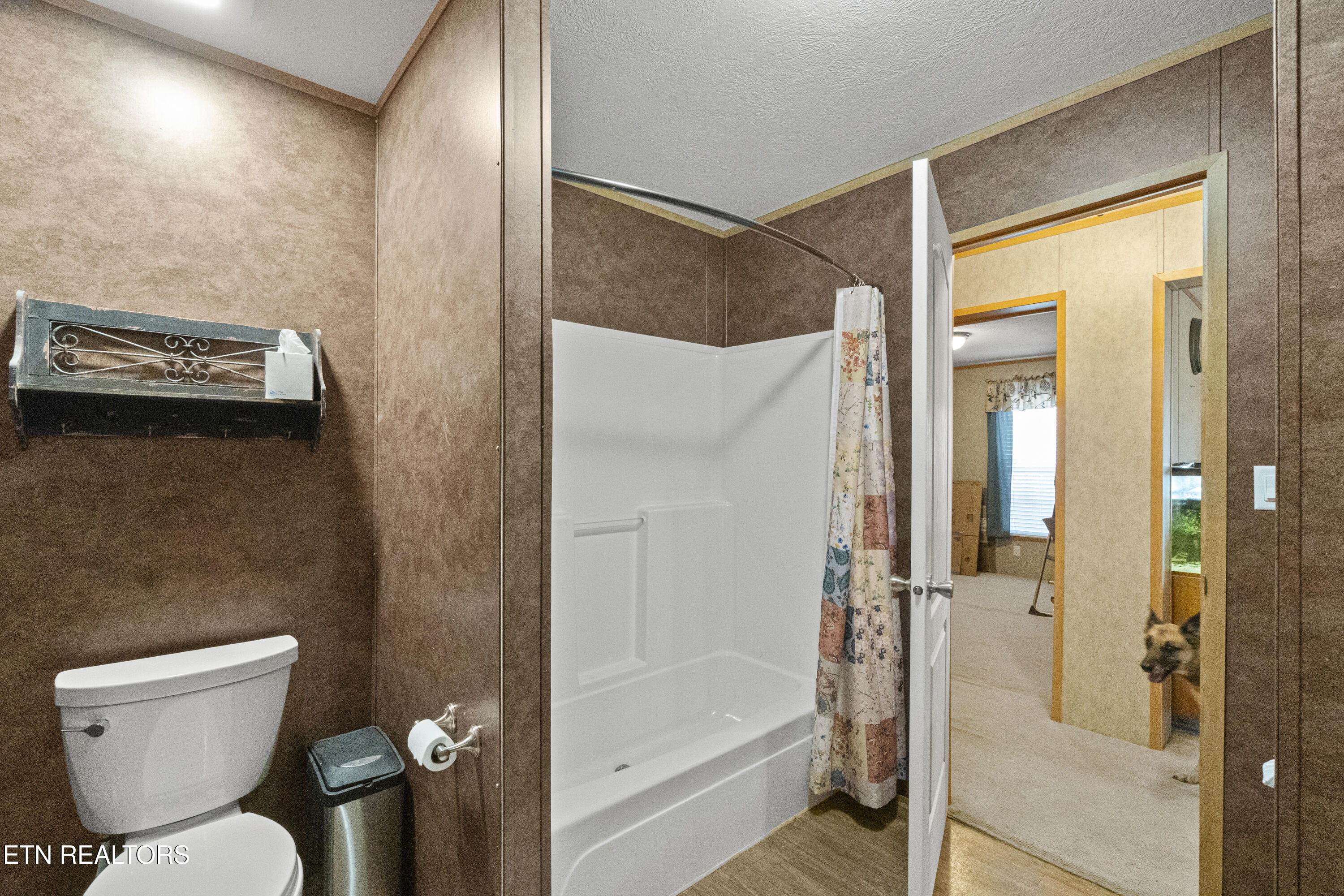 474 Punkton Road Del Rio, TN 37727 - Photo 28 of 58 DSC00353