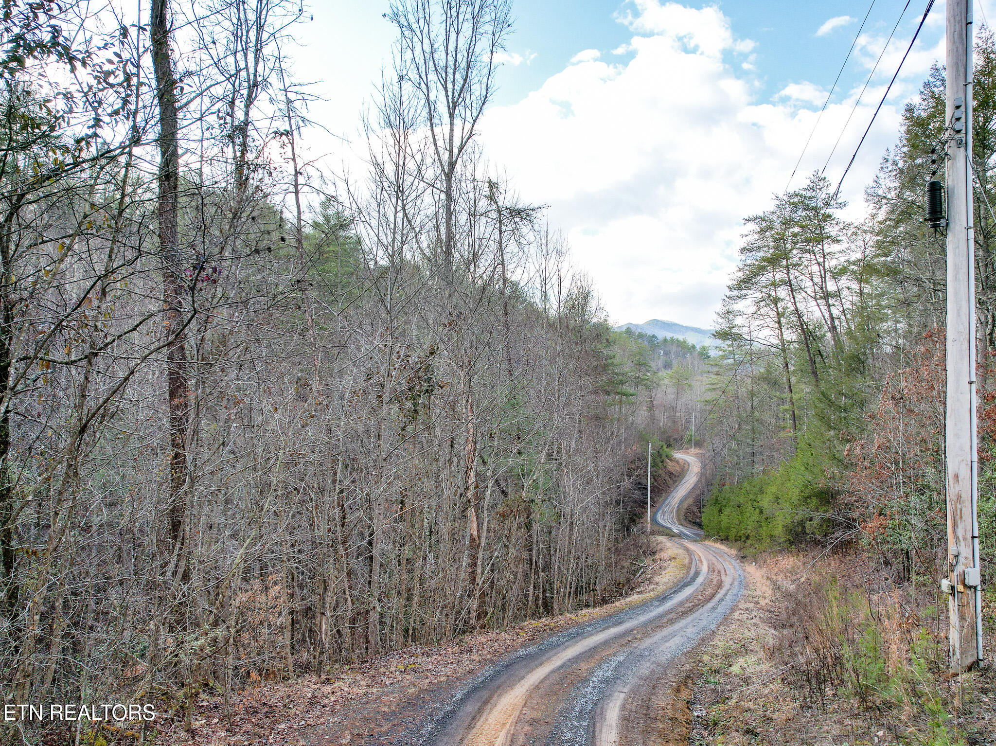 474 Punkton Road Del Rio, TN 37727 - Photo 34 of 58 DJI_0757-Edit