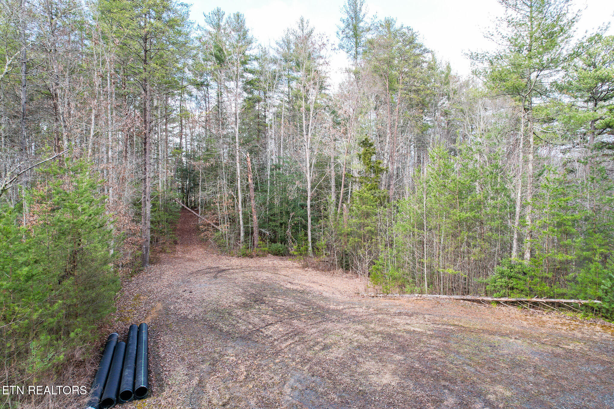 474 Punkton Road Del Rio, TN 37727 - Photo 35 of 58 DJI_0758